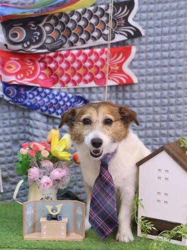 20230516こはるちゃん